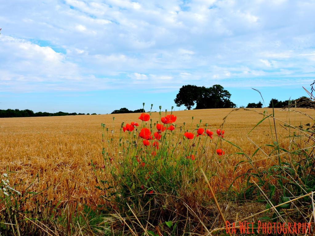 Gite Le Bourgneuf Fresnay-sur-Sarthe المظهر الخارجي الصورة
