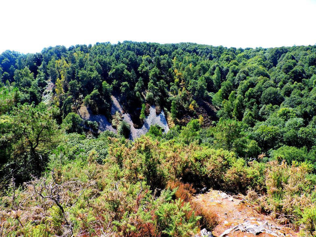 Gite Le Bourgneuf Fresnay-sur-Sarthe المظهر الخارجي الصورة